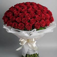 101 Красная роза Блэк Мэджик в Вычегодском Букет 101 Красная роза Блэк Мэджик в Вычегодском