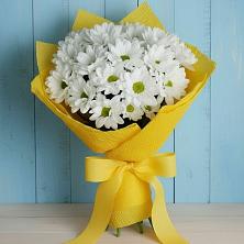 Букет цветов из:  Хризантемы в Вычегодском