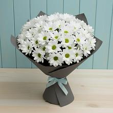 Букет цветов из:  Хризантемы в Вычегодском