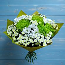 Букет скромность  в Вычегодском Букет цветов из:  Хризантемы в Вычегодском