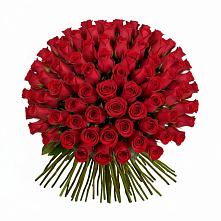Красные розы Чери Лав в Вычегодском Букет Красные розы Чери Лав в Вычегодском