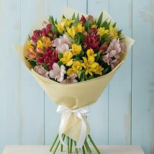 Букет цветов из:  Альстромерии в Вычегодском