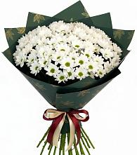 Букет море ромашек в Вычегодском Букет цветов из:  Хризантемы в Вычегодском