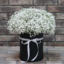 Цветочная композиция из Гипсофила в шляпной коробке в Вычегодском