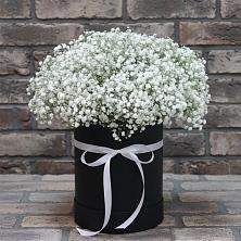 Цветочная композиция из Гипсофила в шляпной коробке в Вычегодском